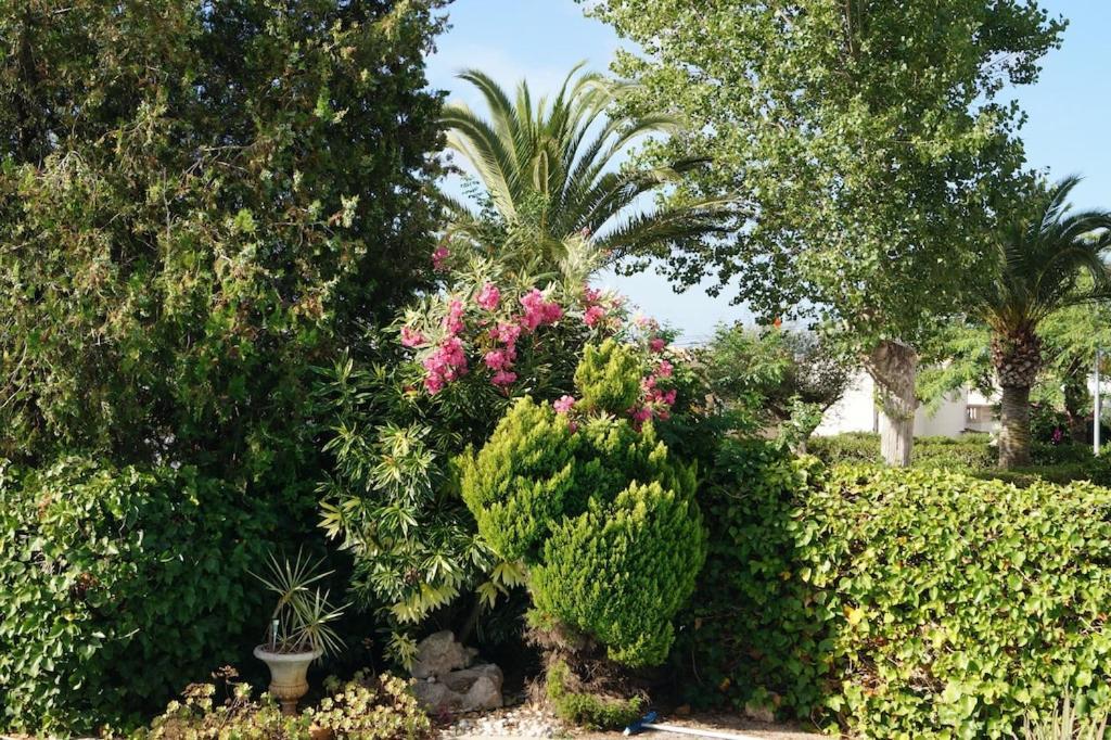 Cala Mandia  Villa Cala Mendia מראה חיצוני תמונה